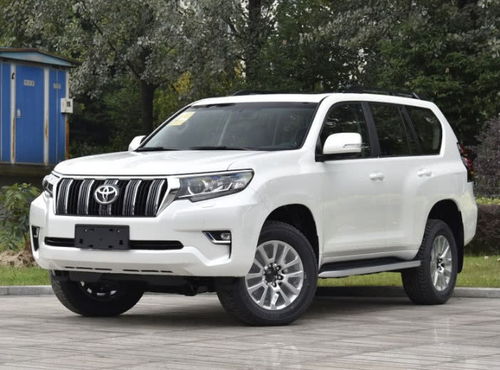 普拉多多少钱？