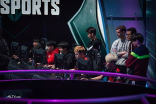 天禄战队老板,天禄战队茄子