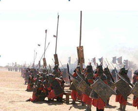 我过军队人数编制怎么划分？