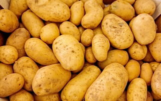 土豆网在线观看 视频