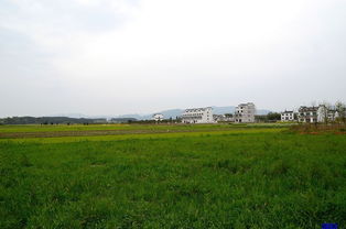 农村包围城市？