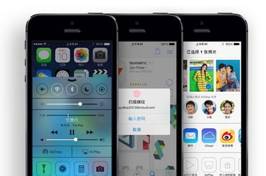 苹果手机的应用管理在哪里