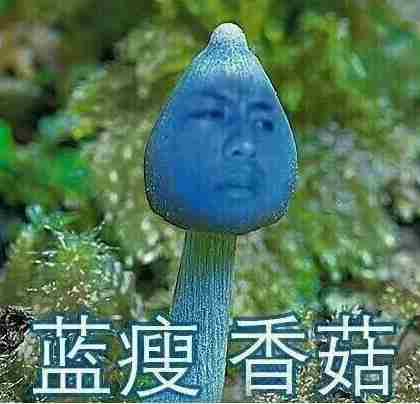 蓝瘦香菇出处 蓝瘦香菇什么意思第一翅为一个女孩屎