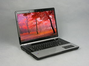 哪个品牌的笔记本电脑性价比高