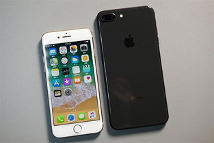 苹果降价最新消息,苹果降价了吗最新信息