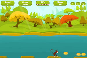 森林里住着一只聪明的猴子作文怎么写