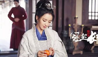 琅琊榜电视剧下载免费,下载琅琊榜电视剧全集