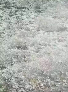 下冰雹的视频