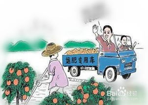 在家里怎样能赚到钱