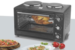 电烤箱什么牌子好?,请问家用买什么牌子的电烤箱好