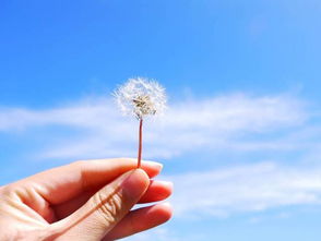 将心比心是什么意思？要怎么才能理解啊！