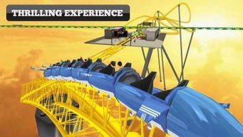 roller coaster是什么意思