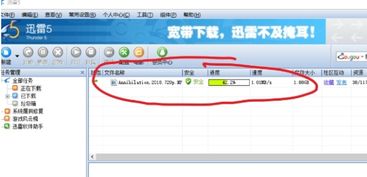 急求迅雷看看 历史版本!!!