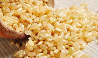 糙米是什么样的 图片大全,糙米是什么颜色