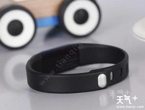 乐心运动官网查询找回二维码