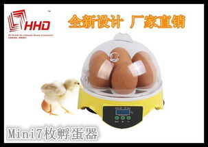 鸡蛋孵化器怎么做，鸡蛋孵化器温度设置多少