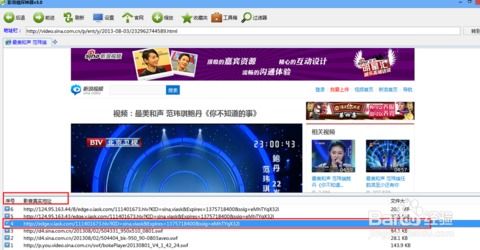 新浪视频如何下载到本地,新浪视频如何下载到手机