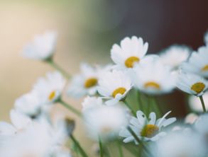 梦见媳妇生了个女儿公公嘴上说不喜欢