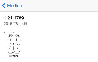 MEDIUM是什么意思?