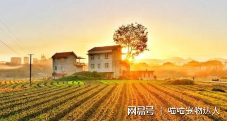 亩和平方米如何换算？