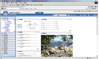 泛微oa软件和其他OA软件哪个好点啊？