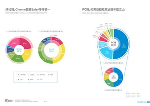 中国互联网发展报告 2007