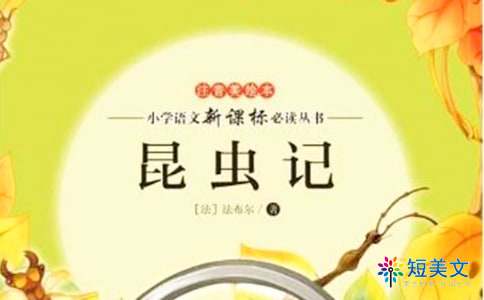 昆虫记读后感300字