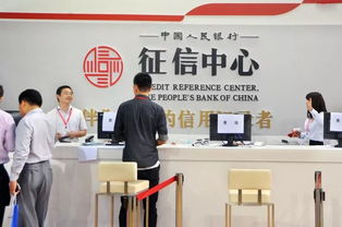 征信拉黑多久可以恢复正常，征信拉黑多久可以恢复征信