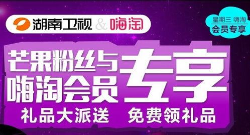 htw嗨淘网的介绍