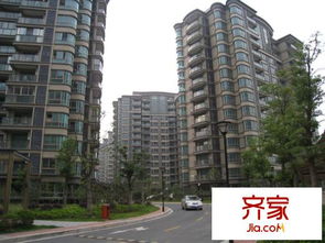 上海东方城市绿洲