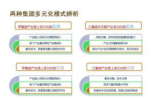 多元化战略企业案例,多元化战略名词解释