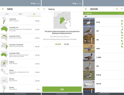 如何将一个网站所有的图片都下载下来