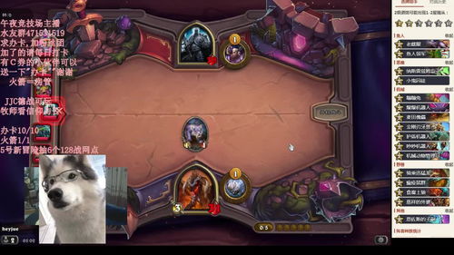 炉石有哪几个厉害的主播？一般在哪里直播