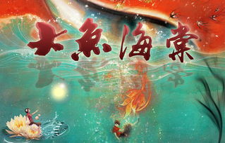 中国电信大鱼卡套餐详情