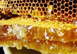 蜂胶作用与功效及服用方法，蜂胶十大名牌排行榜