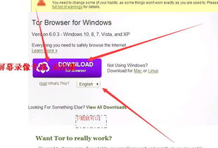 影子网络进入方法，越详细越好