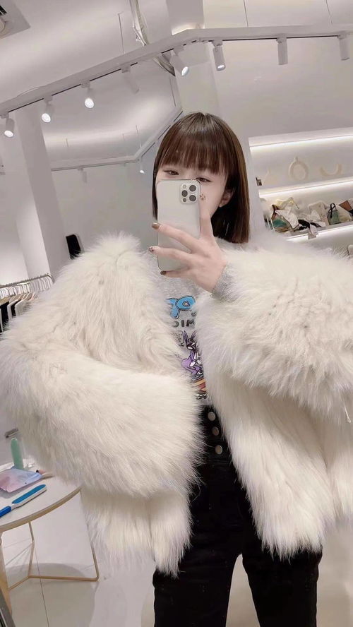 桌面搜索文件怎么搜,桌面搜索框怎么添加