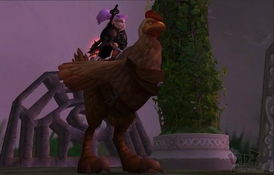 魔兽世界魔法公鸡,神界原罪2魔法公鸡