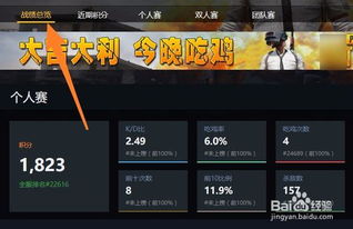 绝地求生战绩查询app