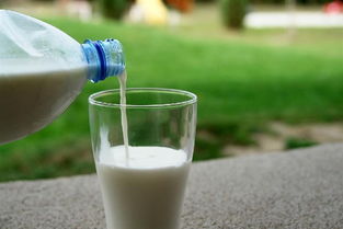 哪种牛奶最营养