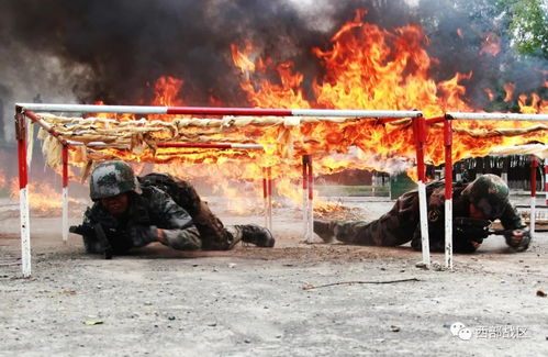 尤里米在火网可以交易是真的吗？