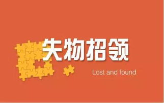 最近在做学校的失物招领网站，快做好了。请问如何