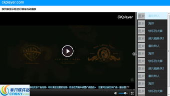 ckplayer 怎么使用停止播放