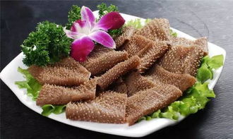 毛肚是什么部位?