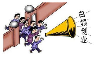 白领创业项目,白领创业故事