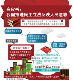 白皮书是什么意思