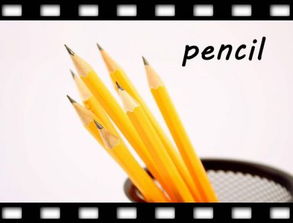 pencil case是什么意思，crayon是什么意思