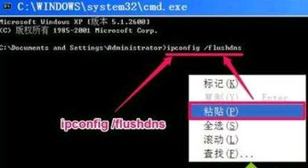 DNS是什么意思呀?