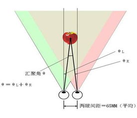 3d电影原理是偏振吗,3d电影原理解释