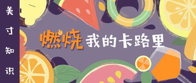 卡路里是什么意思？？